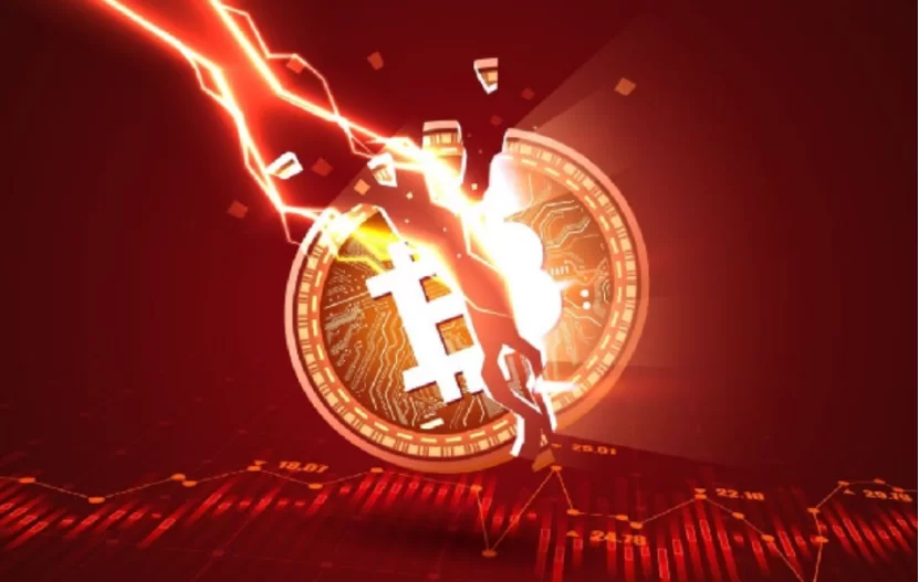 加密货币新手必读:如何安全地购买和储存数字资产
